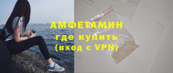 молекула духа Богородск