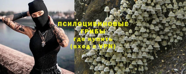 гашик Богородицк