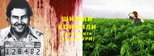 гашик Богородицк