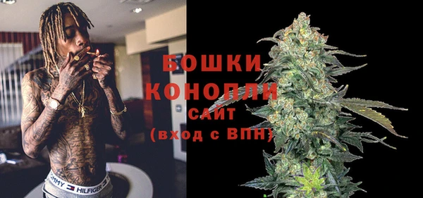 молекула духа Богородск