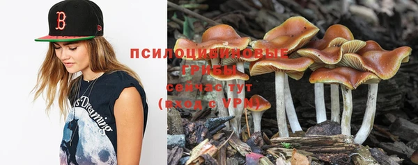 mix Богданович