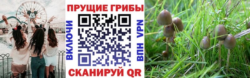 площадка телеграм  магазин    Ейск  Галлюциногенные грибы мицелий 